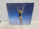 Endless Summer Vacation - Miley Cyrus Red Vinyl Record