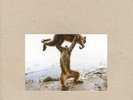 SHELLAC DUDE INCREDIBLE [LP] NEW LP