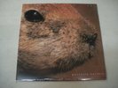 Butthole Surfers - Pepper 10-Inch EP NEW Sealed Vinyl Capitol SPRO-11230