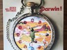 BANCO DEL MUTUO SOCCORSO - DARWIN  Lp Gatefold - NM Near Mint vinyl - Prog rock