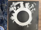 Bauhaus The Sky’s Gone Out LP Vinyl Record 1982 A&M