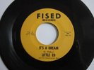 RARE BLUES FUNK PSYCH Little Ed IT'S A DREAM Struggling For Survival FISED #101
