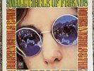 Roger Nichols and The Small Circle of Friends - A&M SP-4139 LP Vinyl Record - NM
