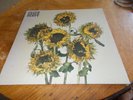 CAJUN DANCE PARTY - THE COLOURFUL LIFE - INDIE ROCK LP