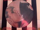 Blondie - Parallel Lines rare Picture Disc LP album (1978)