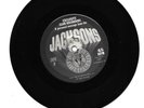 RARE 1983 MICHAEL JACKSON & JACKSON 5 FAN CLUB 45 PERSONAL MESSAGE FIVE BROTHERS