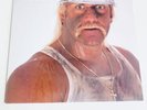 Piledriver The Wrestling Album II WWF 33 Vinyl Record Album LP (1987) Hulk Hogan