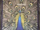 The Bluetones Expecting To Fly Vinyl 12” (1996) Original First Pressing LP