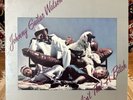 Johnny Guitar Watson – Ain't That A Bitch - VG+/EX