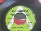 Tommy Tate 'Big Blue Diamonds' Demo   1966