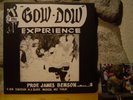 PROF. JAMES BENSON The Gow-Dow Experience LP/1973 US/SPIRITUAL JAZZ-FUNK MONSTER