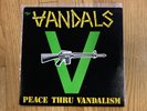 The Vandals Peace Thru Vandalism Social Distortion Circle Jerks Black Flag D.I.