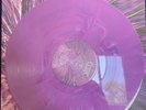 Cynic Refocus Lp Vinyl Gatefold New Purple CYN0017 250 Season Mist Focus Traced