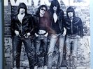 THE RAMONES SELF-TITLED 1st ALBUM RARE ORIG '75 SIRE LP w/ORIG CAT # SHRINK MINT