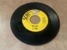 GARAGE ROCK 45 Z Z TOP SALT LICK SCAT 45-500 VG+