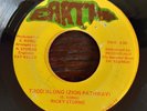 Trod Along Zion Pathway - Ricky Storm