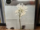Daughter Stereo Mind Game (Vinyl) 12