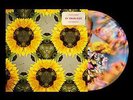 Calvin Harris and Tom Grennan - By Your Side | [ 12