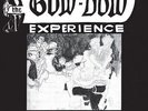 Prof James Benson - The Gow Dow Experience [New Vinyl LP]