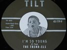 Doo Wop 45 THE TREND-ELS I'm So Young / Don't You Hear Me Calling Tilt CLEAN 7