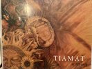 Tiamat Wildhoney 2014 Vinyl New With Pictures Still sealed