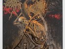 CATTLE DECAPITATION / Death Atlas Orange LP / Death Metal