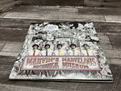 Tally Hall - Marvin's Marvelous Mechanical Museum Banana Man LP W/ One Poster