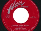 ELMORE JAMES - Strange Kinda Feeling /Please Find My Baby -FLAIR- Blues R&B 45
