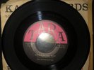The Moonlighters Rock-A-Bayou Baby/Never Never Never 45 TARA 1958 VG+ Condition