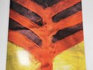 Yeah Yeah Yeahs - SHOW YOUR BONES - Vinyl LP - EX Wax  Rare 2006 Album