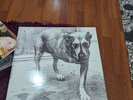 Alice In Chains Self titled Vinyl Promo Copy Rare Grunge Metal 90s