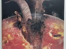 Sealed NEW - Rolling Stones - Goats Head Soup -Clear Vinyl Record Two LP Deluxe