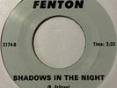 Garage 45 THE QUESTS Shadows In The Night FENTON What Can I Do HEAR