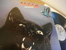 Budgie – Impeckable 70s Lp mint- Welch prog Monster