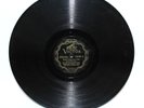 WASHBOARD RHYTHM BOYS- Tiger Rag / ALEX BARTHA- Hot Biscuits 10