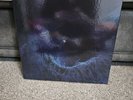 Tool - Fear Inoculum (Limited 180g etched LP Vinyl box set)