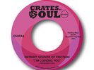Detroit Sounds Of Friction - I'm Leaving You / Stop Him Girl, 7