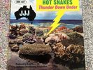 Hot Snakes - Thunder Down Under (2006) LP Vinyl Record Drive Like Jehu