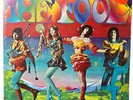 The Fool - Self-Titled (SEALED) 1960's Psych Vinyl Record LP Mercury SR 61178