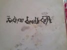The Southern Death Cult Vynal Lp