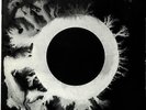 Bauhaus The Sky's Gone Out Insert UK LP Album 1982 BEGA42 Beggars Banquet EX+