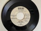 LINDA & THE VISTAS 45 Bad Apple/She Went Away SHRINE 100 northern soul RARE