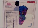 Love - Forever Changes UK REISSUE LP (Stereo) Electric Recording Co. ERC