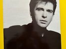 Peter Gabriel 