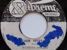 45 ROOTS / BURNING SPEARS / DOOR PEEPER / SUPREME COXSONE / LISTEN