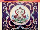 Terry Riley Shri Camel Vinyl LP NEW SEALED RARE 1980 Japanese Pressing with OBI