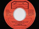 Modern Soul 45 - Chosen Few Band - What It Takes To Live - BR - VG++ mp3