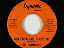Northern Soul 45 - Commands - Don't Be Afraid To Love Me - Dynamic - VG+ mp3