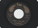 ROCKABILLY INSTRO bw TEEN VOCAL 45 - PARAMOUNTS- NIGHT CLUBBIN -HEAR- 1961 FERN
