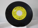 45 RECORD - THE CHARTBUSTERS - SHE'S THE ONE